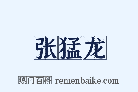 张猛龙是什么意思的图片